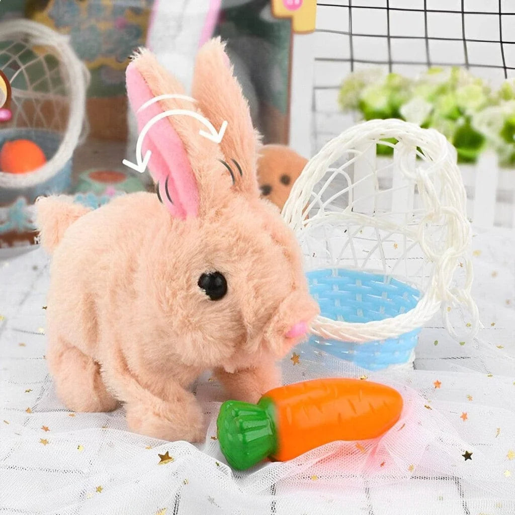 Fluffy Cute Rabbits for Kids