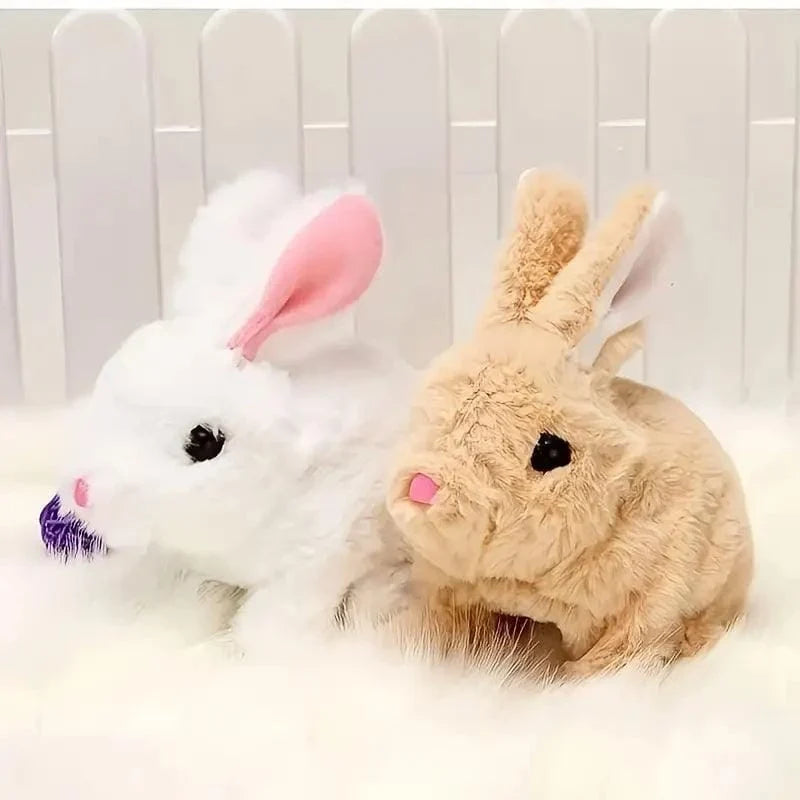 Fluffy Cute Rabbits for Kids