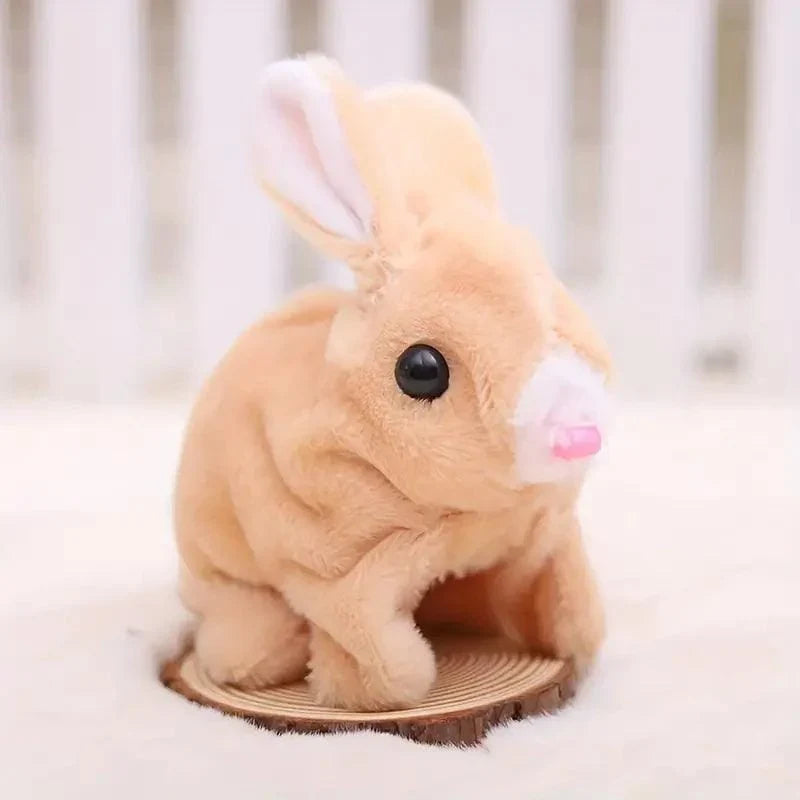Fluffy Cute Rabbits for Kids