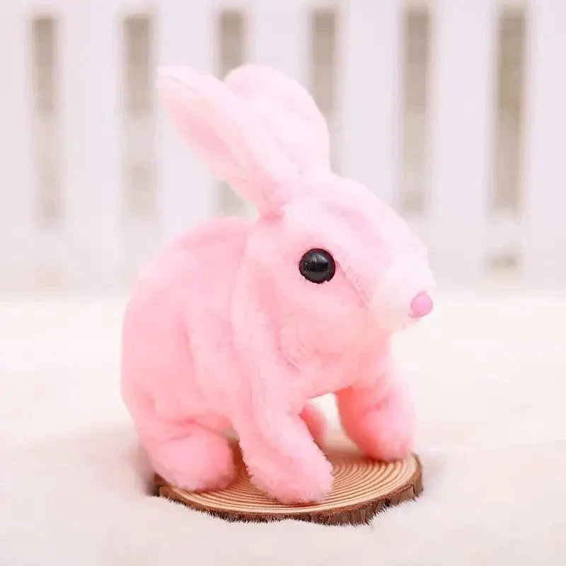 Fluffy Cute Rabbits for Kids
