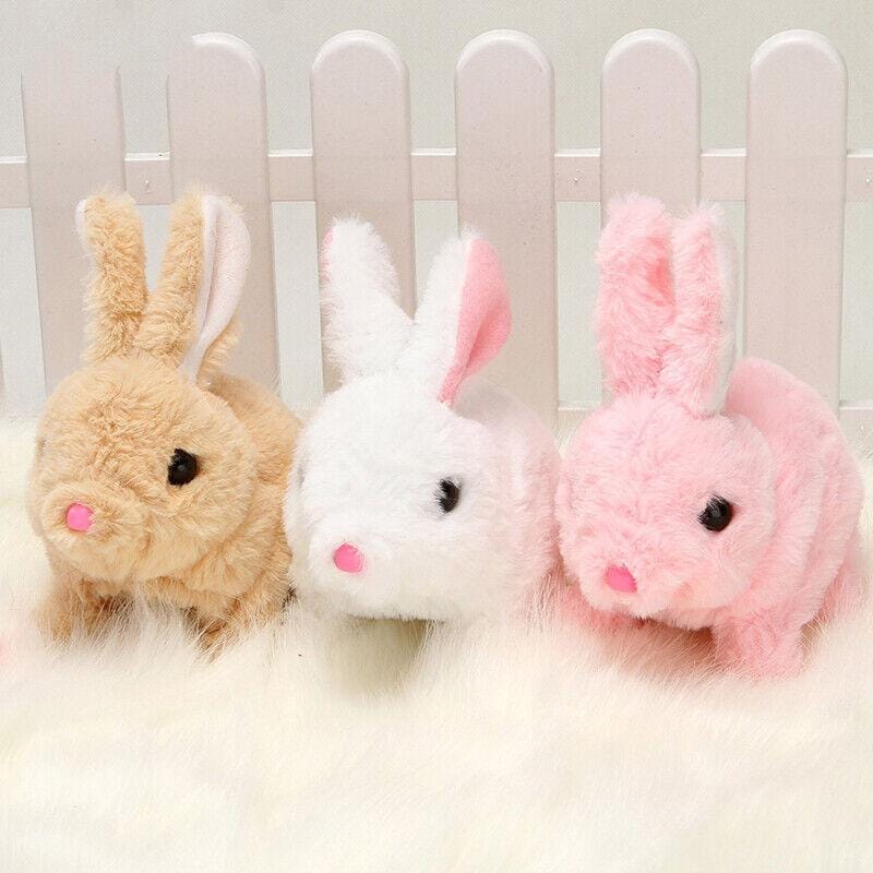 Fluffy Cute Rabbits for Kids