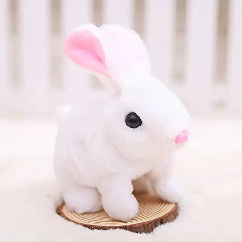 Fluffy Cute Rabbits for Kids
