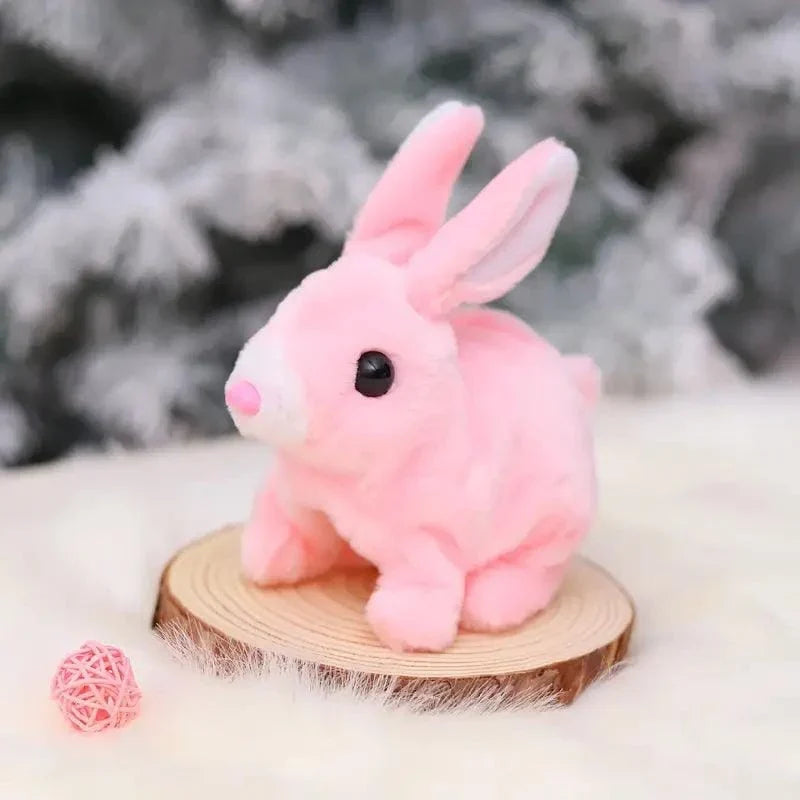 Fluffy Cute Rabbits for Kids