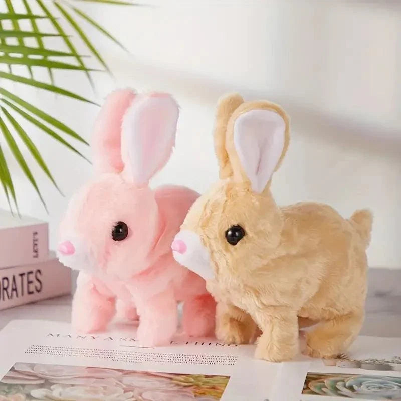 Fluffy Cute Rabbits for Kids